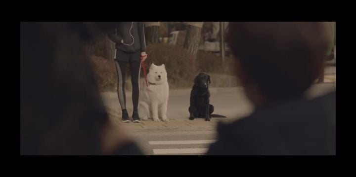 검은개 이야기 - 왜 나는 안 되나요? | 인스티즈
