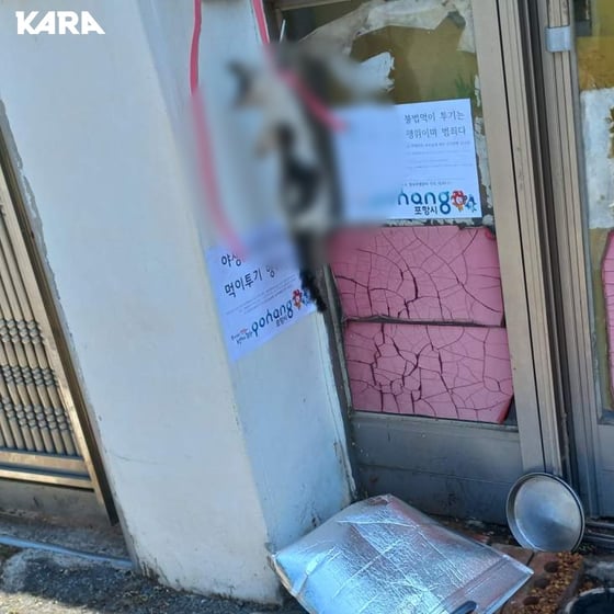 새끼고양이 죽이고 초등학교 근처 매달아 놨다…30대男 검거 (22년 사건) | 인스티즈