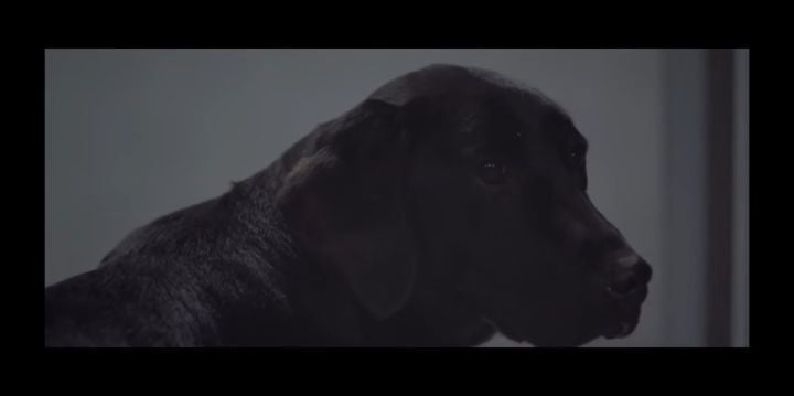 검은개 이야기 - 왜 나는 안 되나요? | 인스티즈