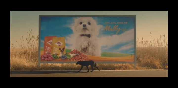 검은개 이야기 - 왜 나는 안 되나요? | 인스티즈