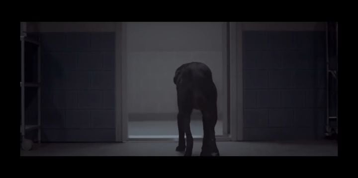 검은개 이야기 - 왜 나는 안 되나요? | 인스티즈