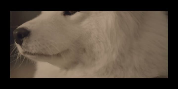 검은개 이야기 - 왜 나는 안 되나요? | 인스티즈
