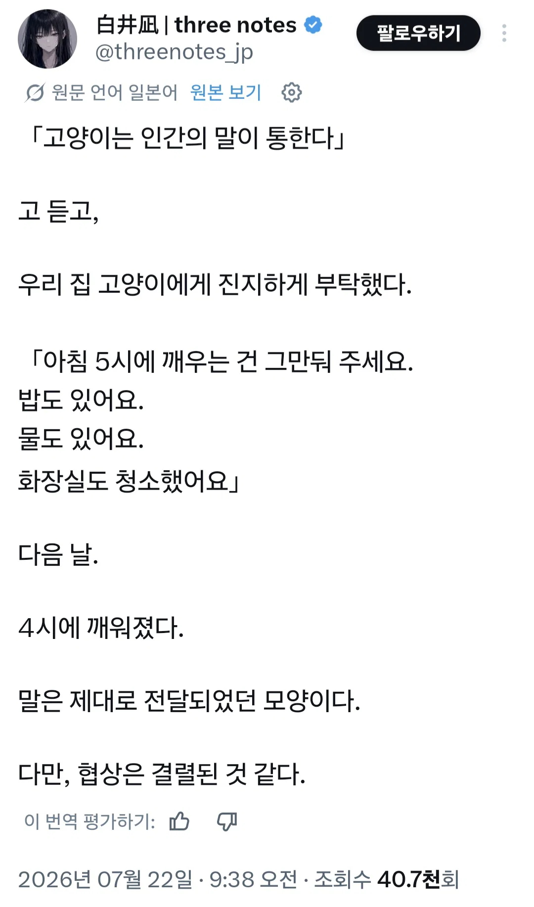 고양이에게 협상을 시도한 집사 | 인스티즈