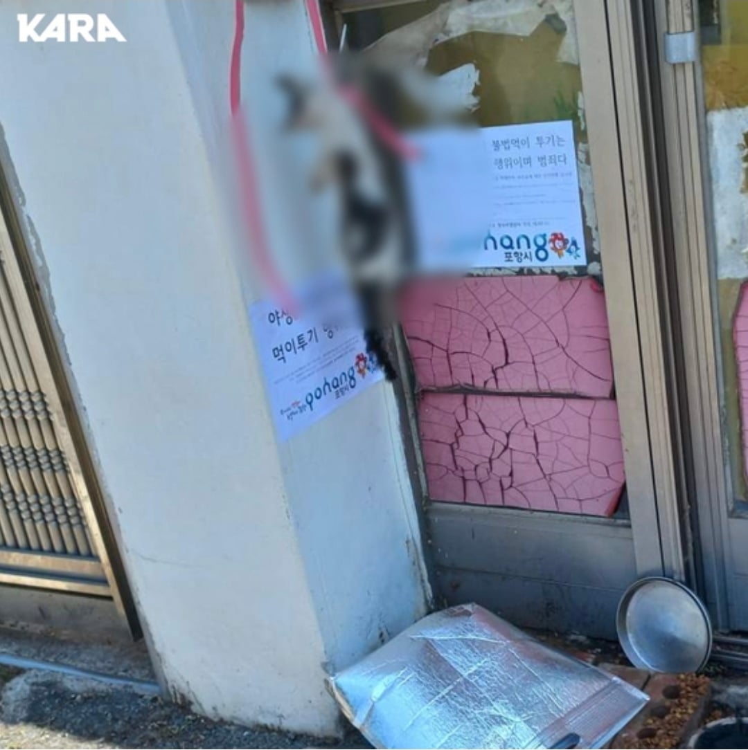 새끼고양이 죽이고 초등학교 근처 매달아 놨다…30대男 검거 (22년 사건) | 인스티즈