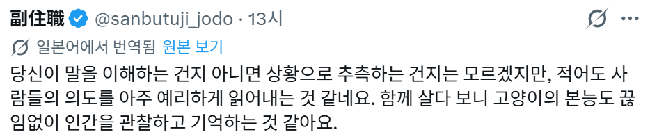 옛날에, 부주의로 레오파드 게코를 탈출시켰을 때, 반려묘에게 다른 개체를 보여주며 "찾아줄래?"라고 반쯤 농담으로 말했더니 | 인스티즈