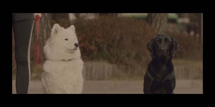 검은개 이야기 - 왜 나는 안 되나요? | 인스티즈