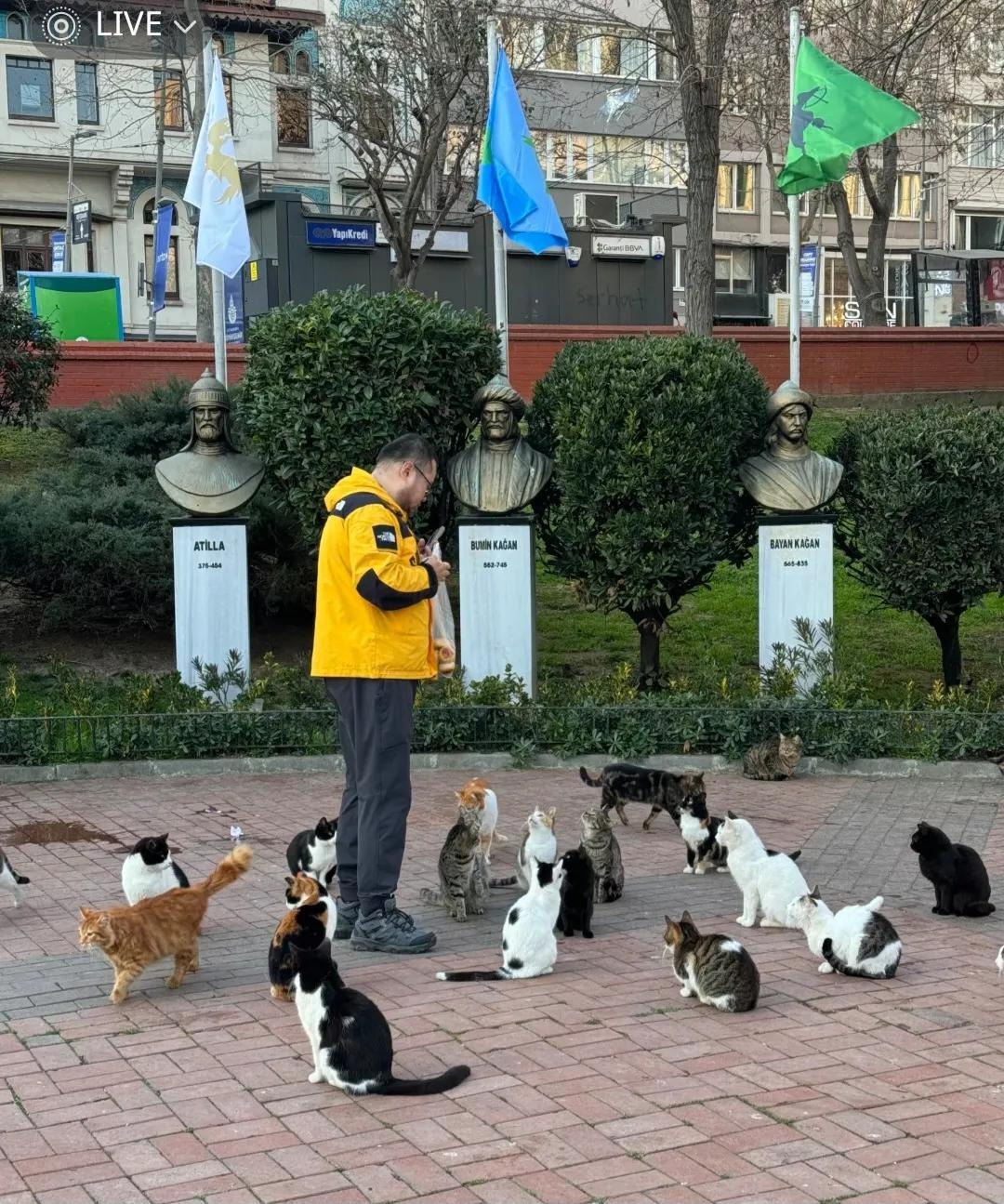 튀르키예 사람들 진짜 무슨 동네마다 고양이 집사가 몇 백 명씩 있는 느낌.. | 인스티즈