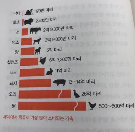 세계적으로 많이 먹는 고기 | 인스티즈