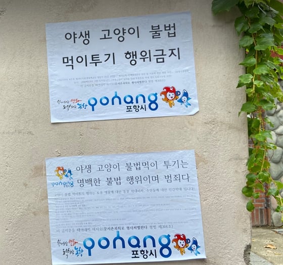 새끼고양이 죽이고 초등학교 근처 매달아 놨다…30대男 검거 (22년 사건) | 인스티즈