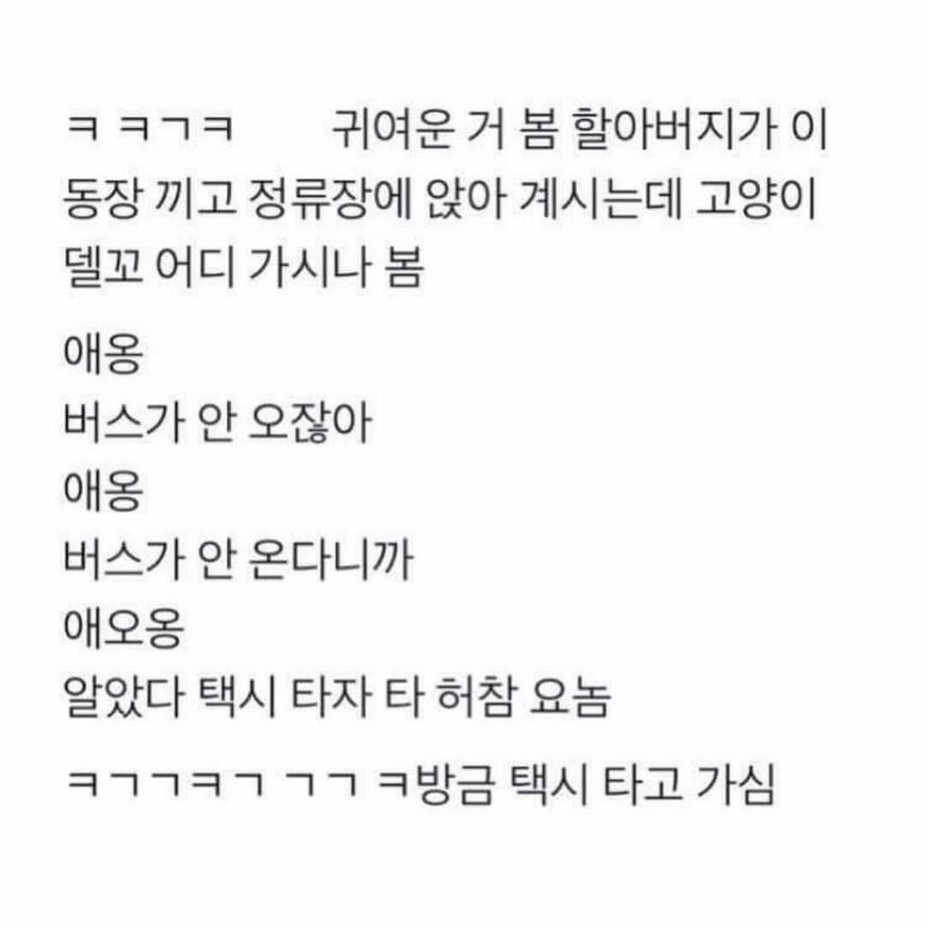 일상속에서 귀여운 사람들 | 인스티즈