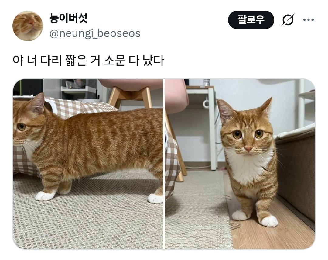 야 너 다리 짧은 거 소문 다 났다 | 인스티즈