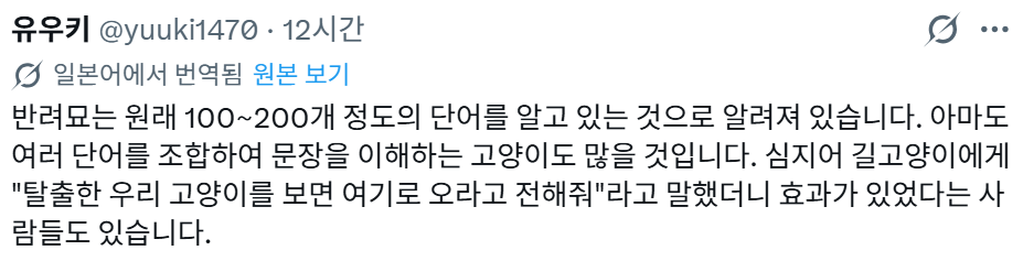 옛날에, 부주의로 레오파드 게코를 탈출시켰을 때, 반려묘에게 다른 개체를 보여주며 "찾아줄래?"라고 반쯤 농담으로 말했더니 | 인스티즈