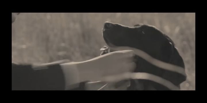 검은개 이야기 - 왜 나는 안 되나요? | 인스티즈