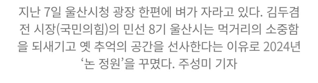 민선8기 숨겨진 부채 '부메랑'...충북도 추경 앞두고 재정 난국 | 인스티즈