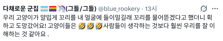 옛날에, 부주의로 레오파드 게코를 탈출시켰을 때, 반려묘에게 다른 개체를 보여주며 "찾아줄래?"라고 반쯤 농담으로 말했더니 | 인스티즈