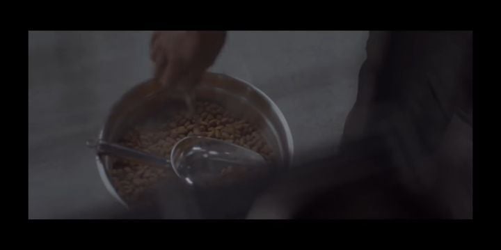 검은개 이야기 - 왜 나는 안 되나요? | 인스티즈