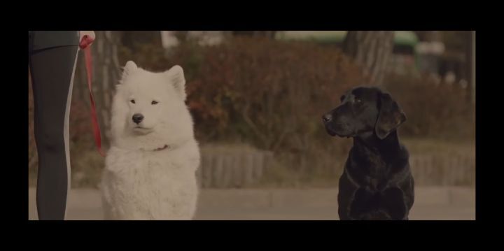 검은개 이야기 - 왜 나는 안 되나요? | 인스티즈