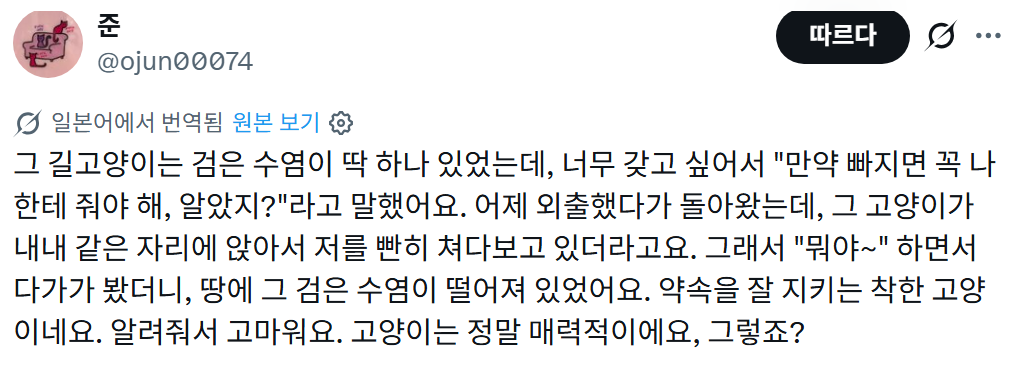 옛날에, 부주의로 레오파드 게코를 탈출시켰을 때, 반려묘에게 다른 개체를 보여주며 "찾아줄래?"라고 반쯤 농담으로 말했더니 | 인스티즈