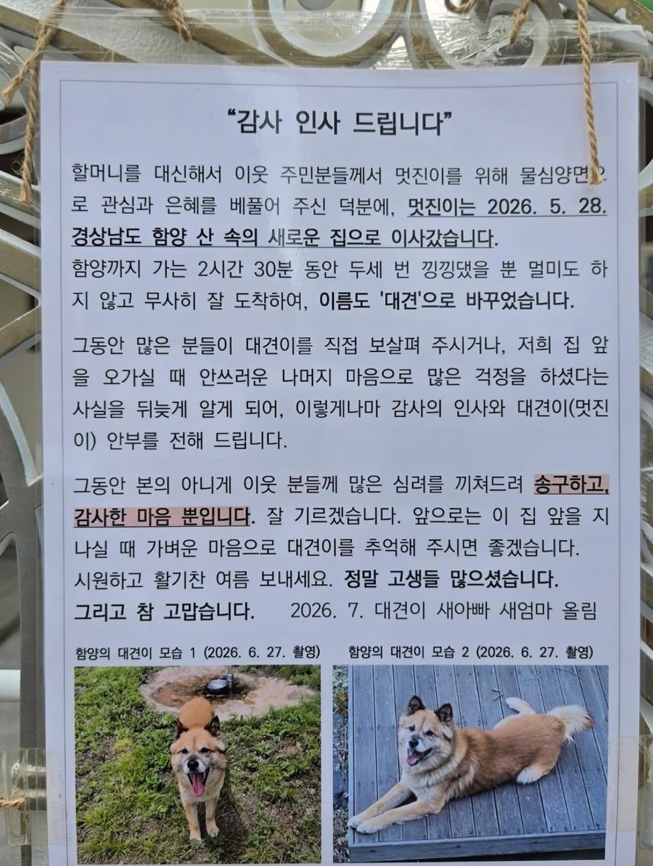 감사 인사 드립니다. 멋진이는 함양 산 속의 새로운 집으로 이사갔습니다 | 인스티즈