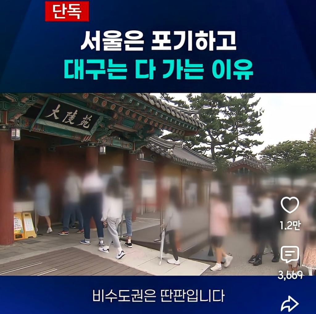 서울은 다 포기하고 대구는 다 가는 이유 | 인스티즈