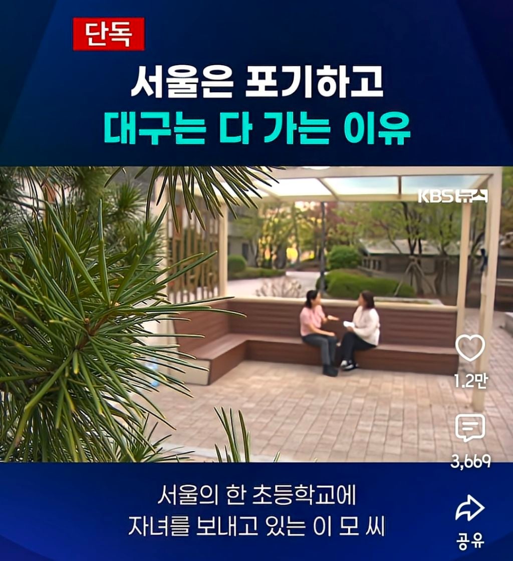 서울은 다 포기하고 대구는 다 가는 이유 | 인스티즈