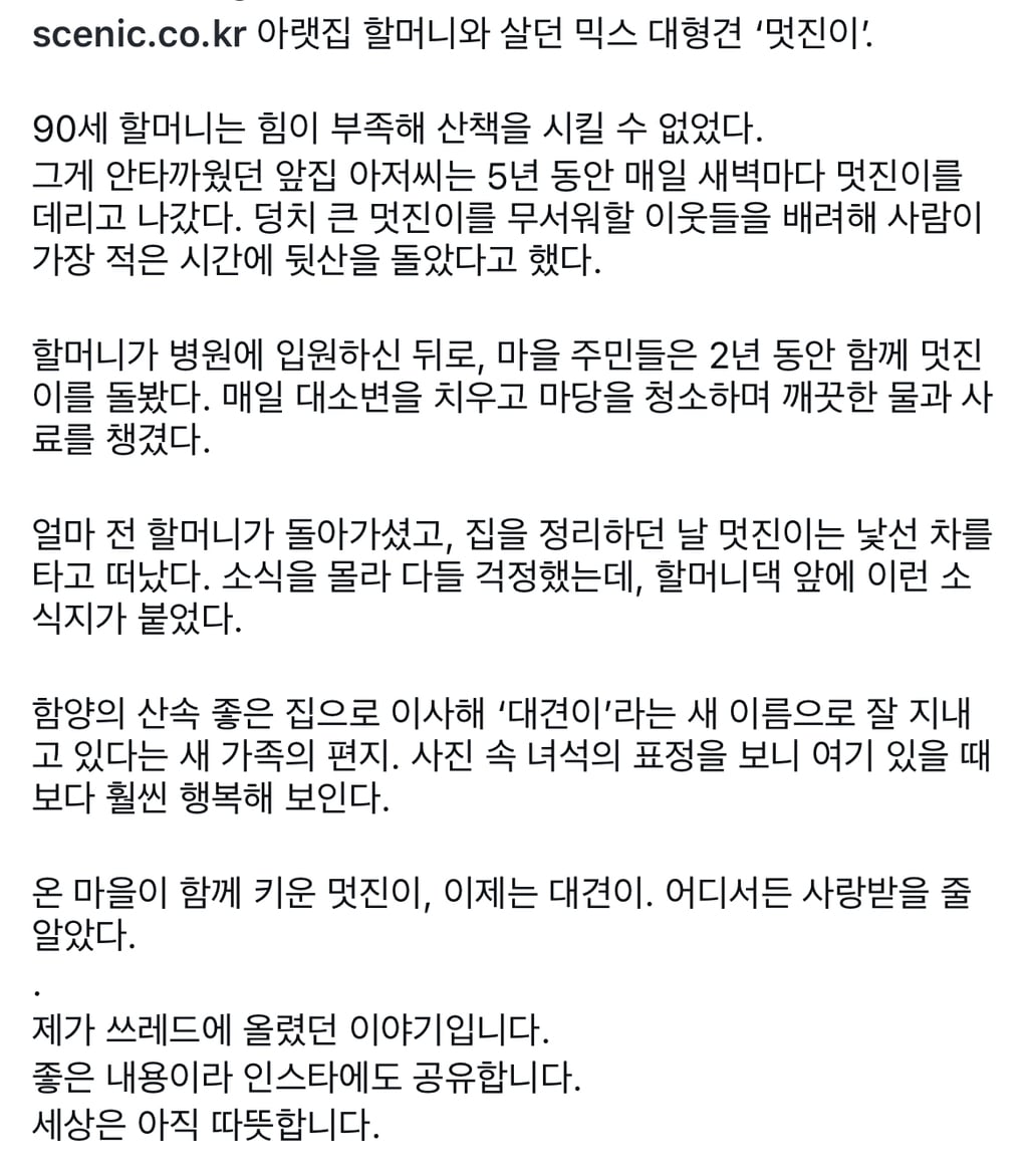 감사 인사 드립니다. 멋진이는 함양 산 속의 새로운 집으로 이사갔습니다 | 인스티즈
