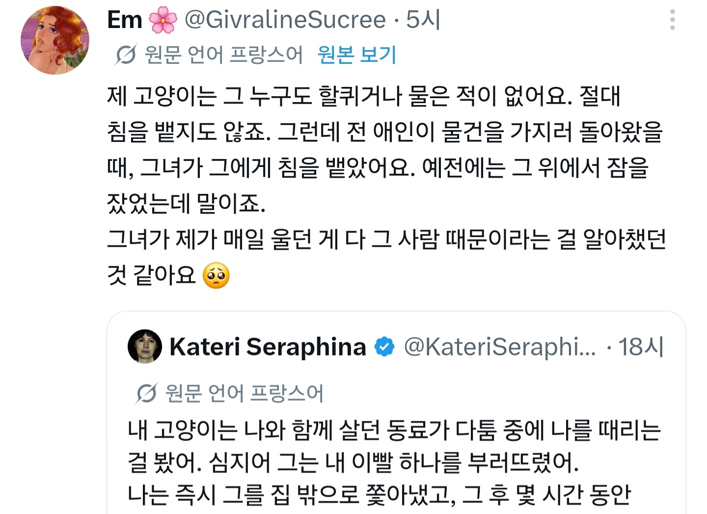 내 고양이는 나와 함께 살던 파트너가 다툼 중에 나를 때리는걸 봤어.twt | 인스티즈