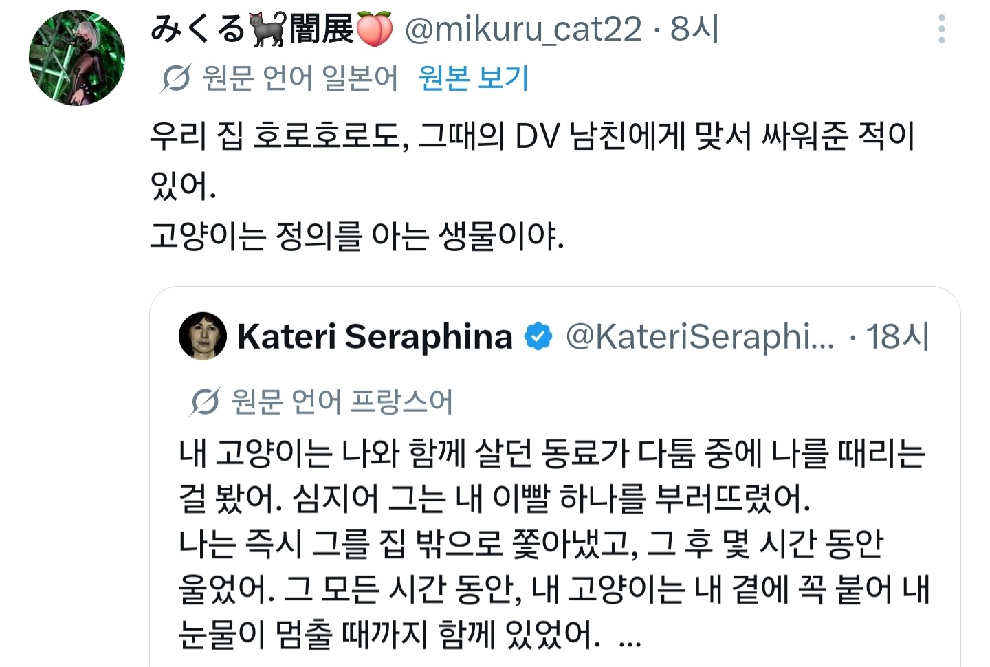 내 고양이는 나와 함께 살던 파트너가 다툼 중에 나를 때리는걸 봤어.twt | 인스티즈