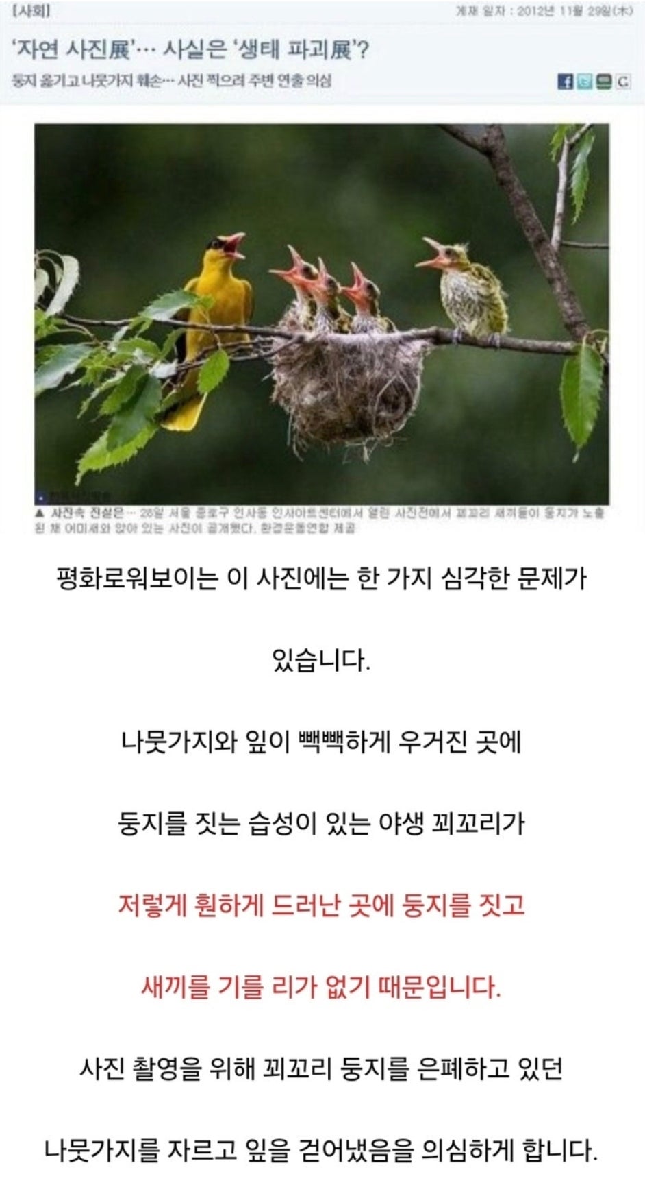 새다리에 본드 붙이고 새끼있는 둥지에 살모사 올린 사진작가.jpg | 인스티즈