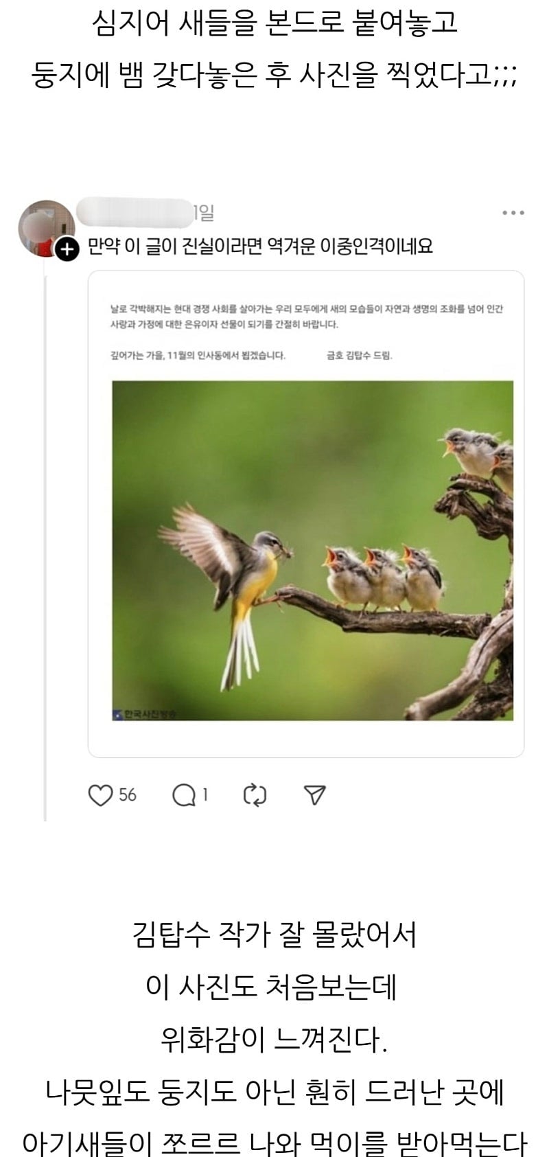 새다리에 본드 붙이고 새끼있는 둥지에 살모사 올린 사진작가.jpg | 인스티즈