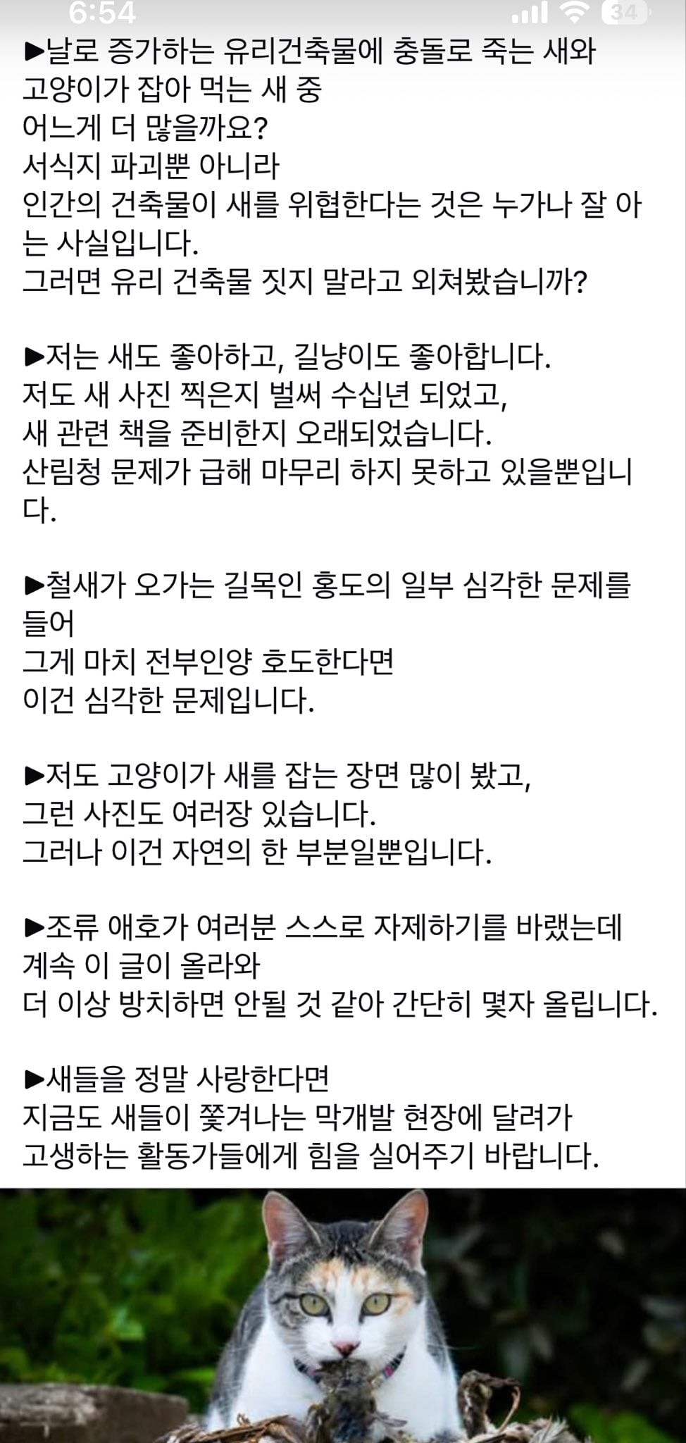 새덕후들의 고양이 혐오에 어이없어하는 글 올린 환경운동가.jpg | 인스티즈