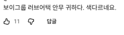 리센느 커버 영상 댓글 보고 감동받았다고 우는 남돌 | 인스티즈