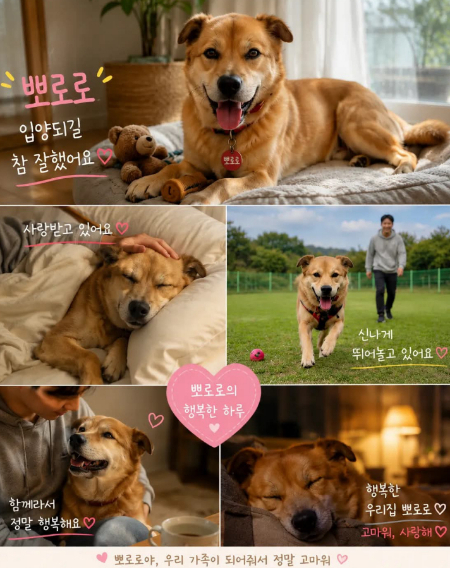 풀 죽은 강아지, 하루만에 임보 취소…"가족 기다립니다" | 인스티즈