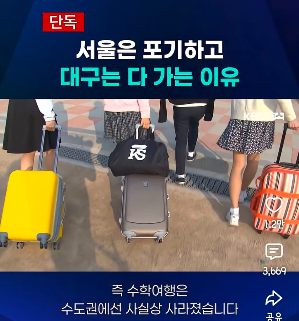 서울은 다 포기하고 대구는 다 가는 이유 | 인스티즈