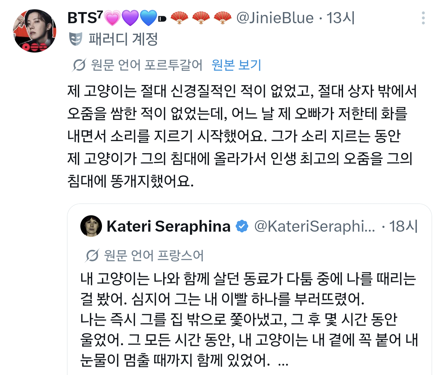 내 고양이는 나와 함께 살던 파트너가 다툼 중에 나를 때리는걸 봤어.twt | 인스티즈