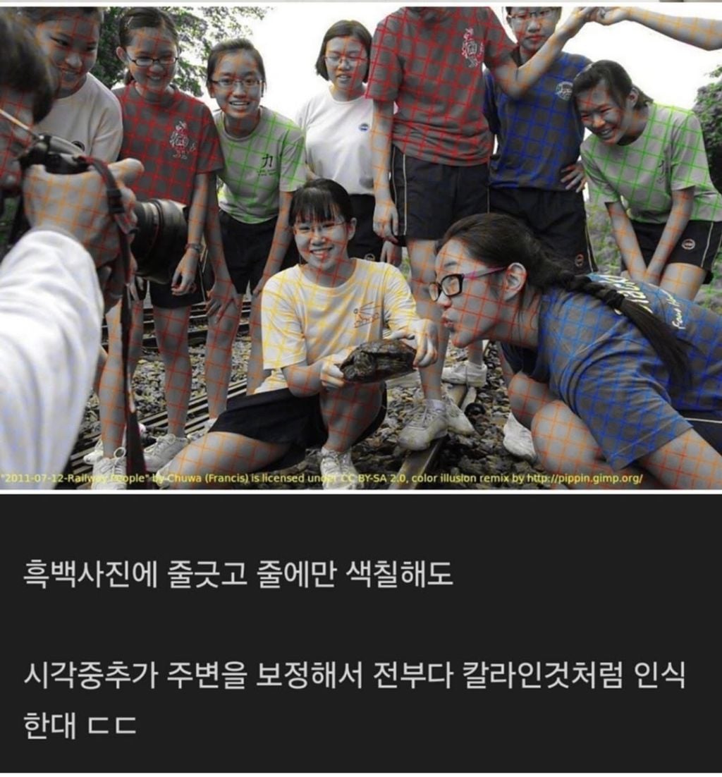 흑백사진에 컬러줄만 그어도 시각중추가 알아서 풀컬러 사진처럼 보이게 함 | 인스티즈