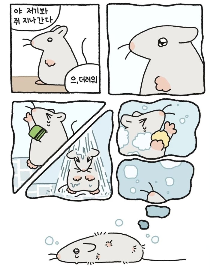 야 저기 쥐 지나간다. 으 더러워 | 인스티즈