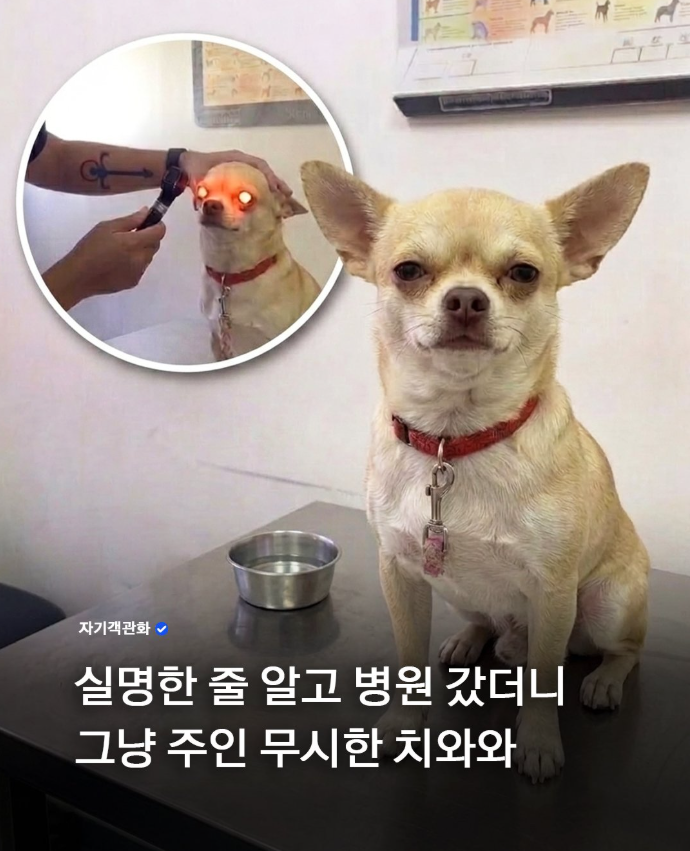 실명한 줄 알고 병원 갔더니 | 인스티즈