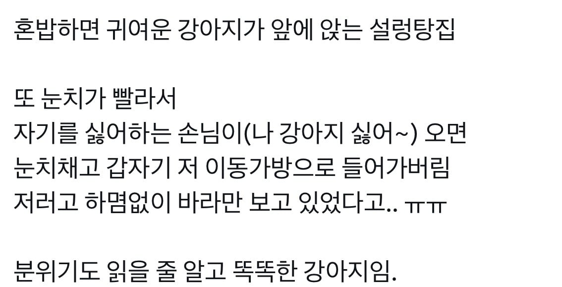 혼밥 면하게 해주는 밥집 댕댕이 | 인스티즈