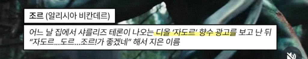 나홍진은 왜 캐릭터 이름을 음문석, 이런식으로 지음? (영화 호프/ 스포없음) | 인스티즈