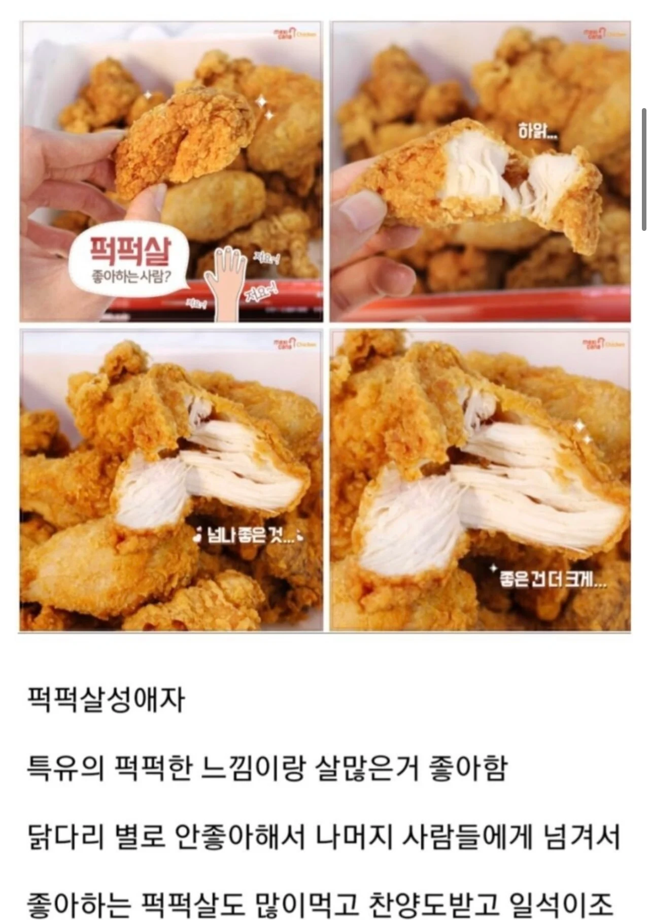 치킨 먹을때 은근 있는 닭다리싫어 퍽퍽살좋아파 | 인스티즈