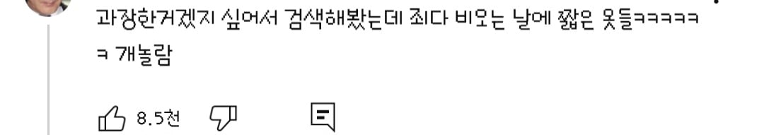 댓글들 난리난 노출 심한 차림으로 우중캠핑하는 일부 유튜버들 풍자한 엄은향 | 인스티즈