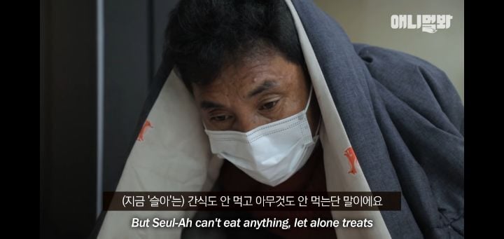 죽을것같은 우울증에 걸린 강아지 | 인스티즈
