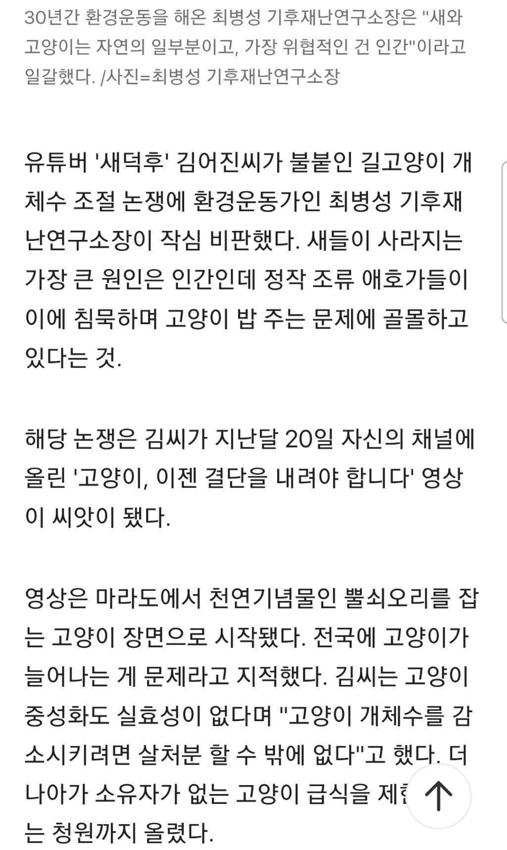 길냥이가 새죽인다?인간이 더 문제... 새덕후 '고양이 살처분' 작심비판 | 인스티즈