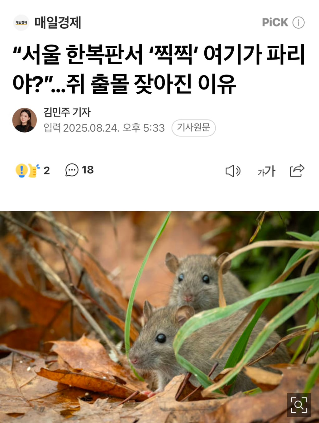 고양이 살처분이 답이다?! 나응식, 이학범 수의사 라이브 | 인스티즈
