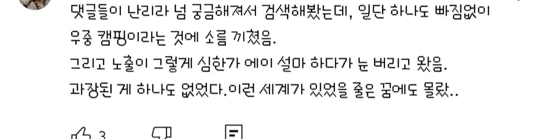 댓글들 난리난 노출 심한 차림으로 우중캠핑하는 일부 유튜버들 풍자한 엄은향 | 인스티즈