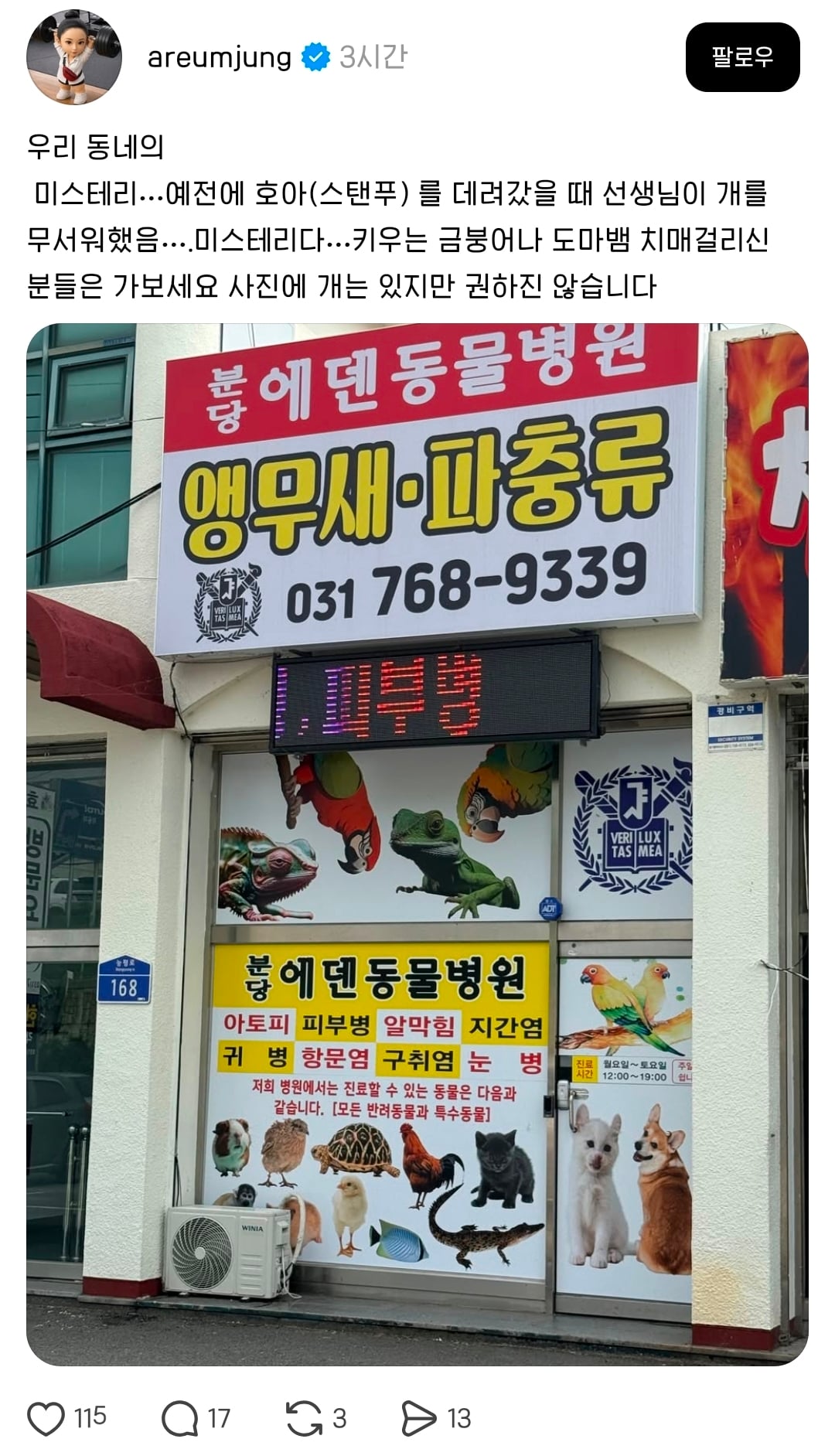 우리동네 미스테리 ⋯ 동물병원 원장님이 개를 | 인스티즈