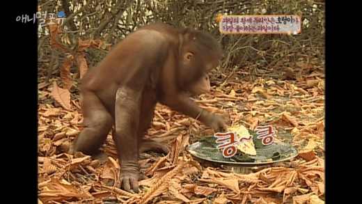 엄마가 만든 바나나빵 먹어보는 아기 | 인스티즈