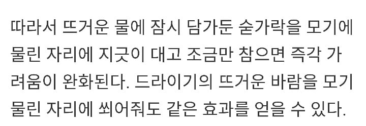 모기 물렸을 때, 이것만 기억하면 가려움 끝! | 인스티즈