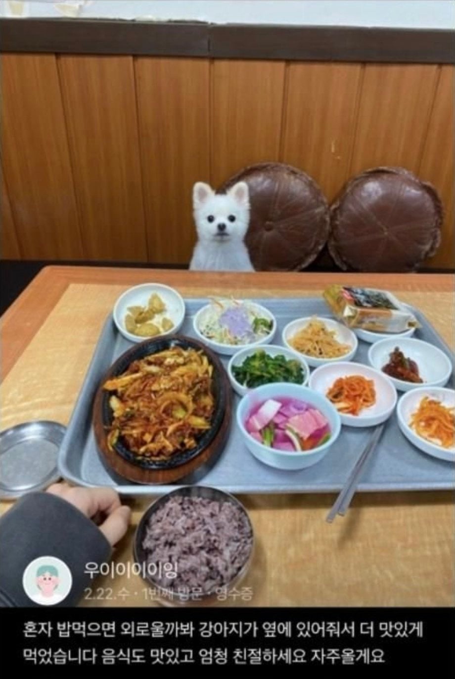 혼밥 면하게 해주는 밥집 댕댕이 | 인스티즈